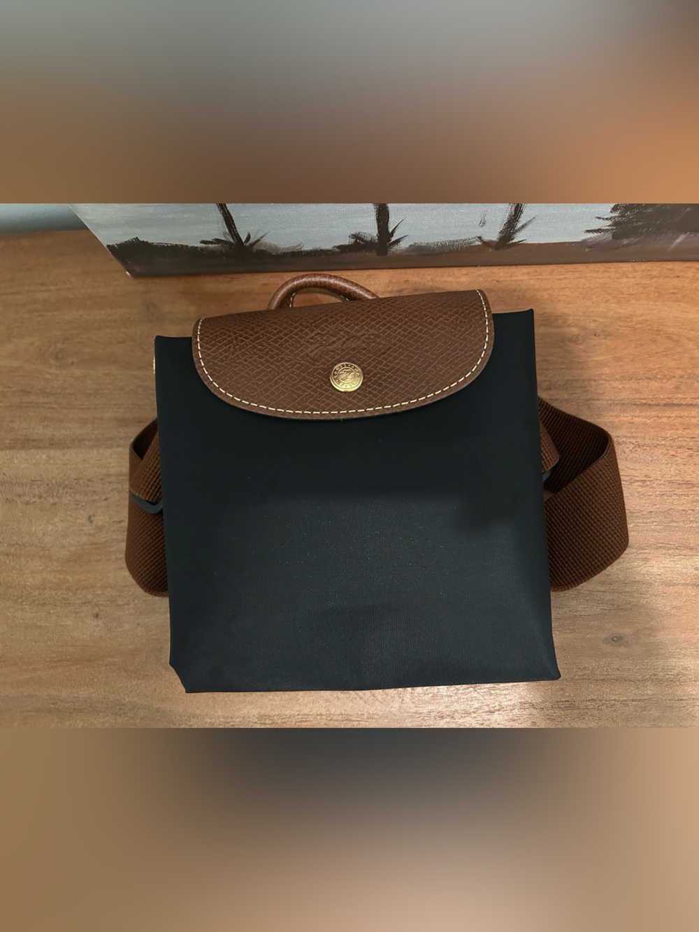 Longchamp Le Pliage back pack